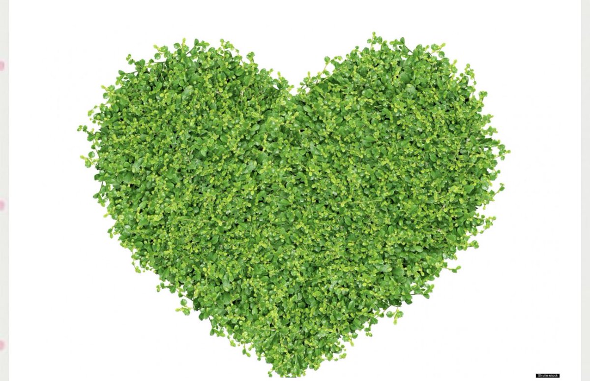 MoregreenCapit1's tweet photo. At Moregreen Capital we pride ourselves on consistent high quality professional advice and delivery, with a focus on clear communication, regular engagement and sound judgement, and with director level advice and leadership always on hand. #greenhomes https://t.co/UguD0xehZ7