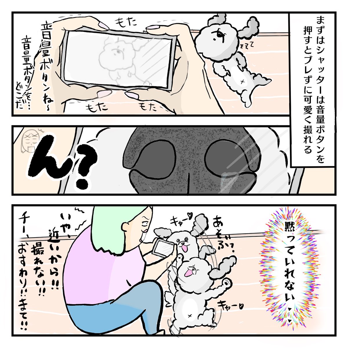 たろち どうしたら躍動感溢れず写真が撮れますか マンガ 育児漫画 子育て漫画 男の子ママ イラスト コミックエッセイ 愛犬 トイプードル 犬のいる暮らし 犬のいる生活 犬好きさんと繋がりたい 赤ちゃんのいる生活 0歳 親バカ部 写真