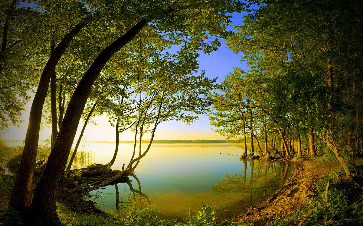itsnatureway's tweet photo. beautiful nature view #thenatureway #itsnatureway @nature @welcomet0nature https://t.co/PkTrj7jvRD