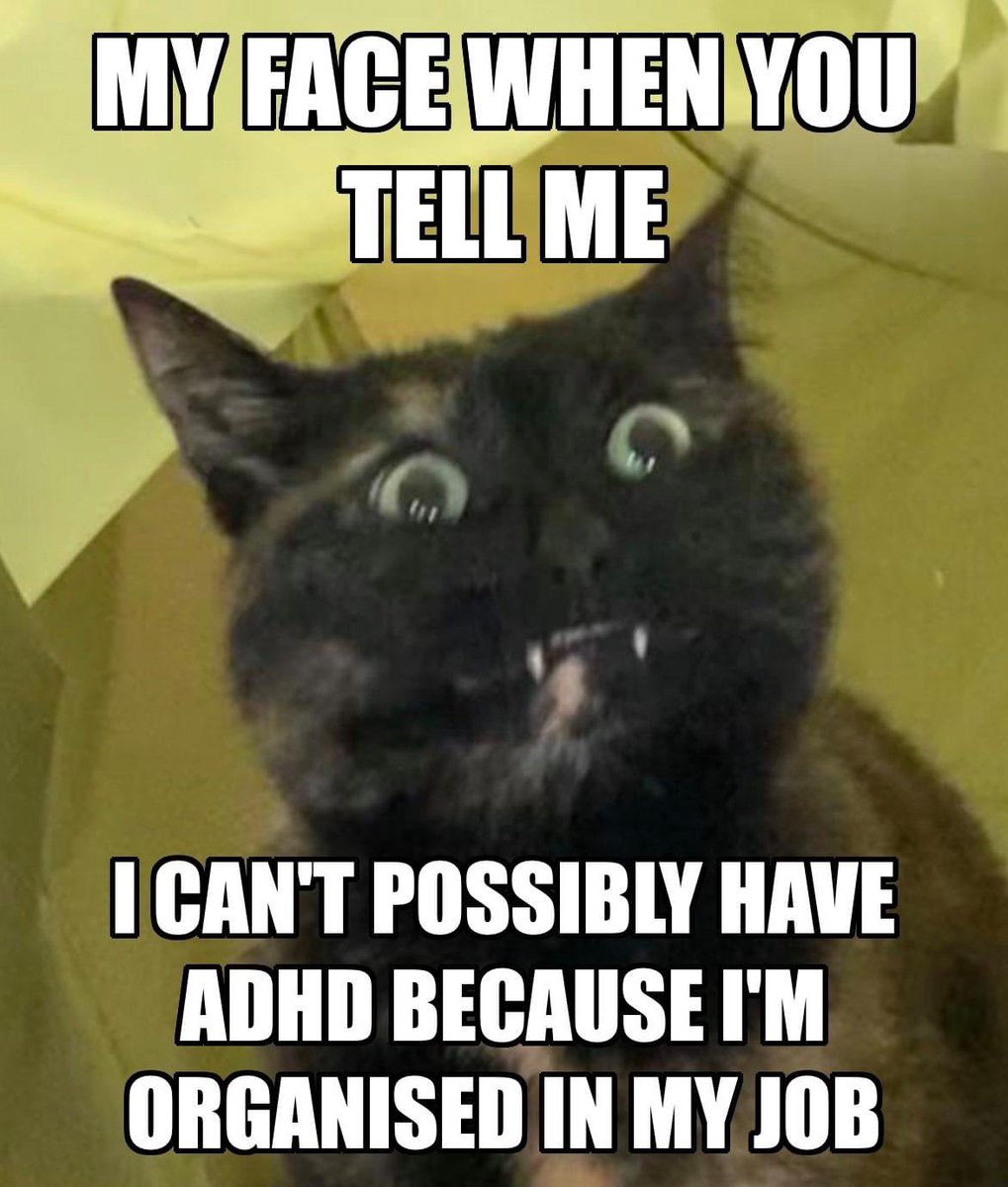 🔔 SHARE 🔔 TO SPREAD AWARENESS OF ADHD MYTHS!
😸 #adhdmyths #adhd #actionindistraction 😸