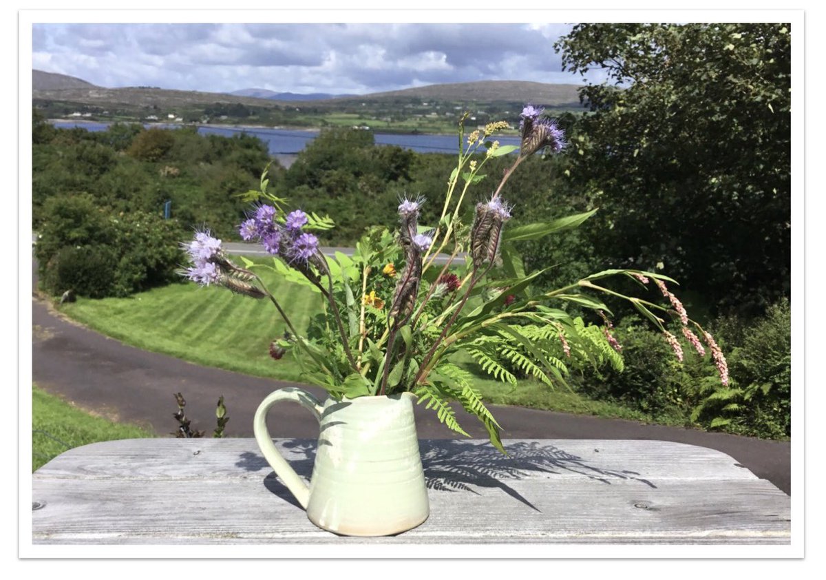 Love these beautiful #wildflowers I received recently. #madelocal #functionalpottery #westcork
