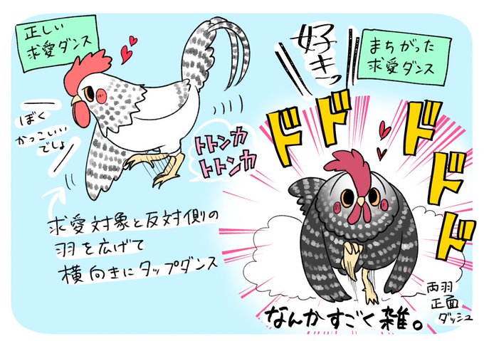 ニワトリのtwitterイラスト検索結果 古い順 ニワトリのtwitterイラスト検索結果 古い順