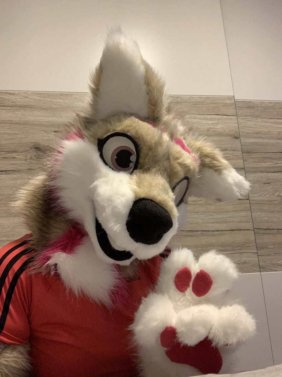 Hello :3 #furry #husky #fursuit #partial