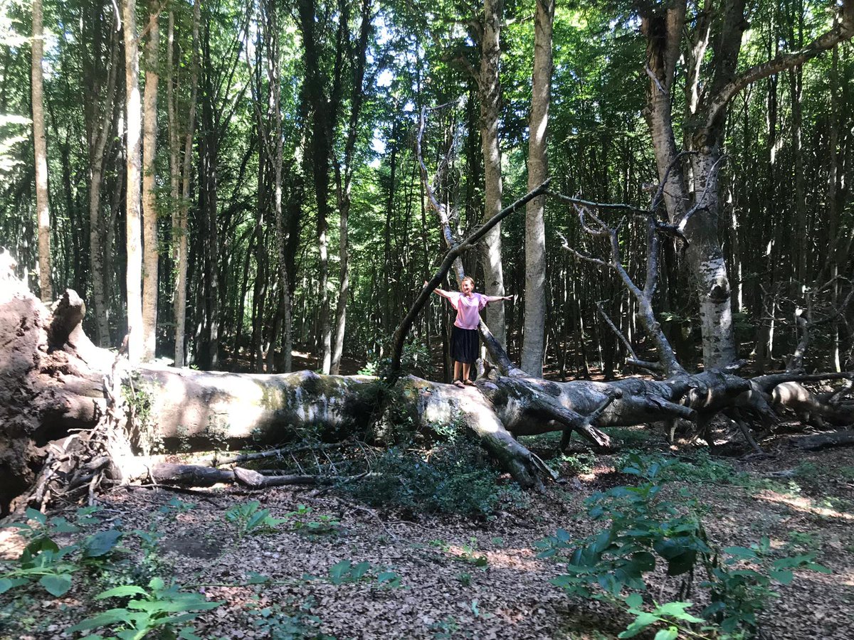 RossellaMuroni's tweet photo. Oggi è #OvershootDay2020!  Da oggi abbiamo ufficialmente finito le risorse rinnovabili che la Terra è in grado di generare in un anno! Insomma da oggi - e anche per quest'anno - mangiamo il futuro dei nostri figli 
#OvershootDay #OD2020 https://t.co/Y7d97hj3KE