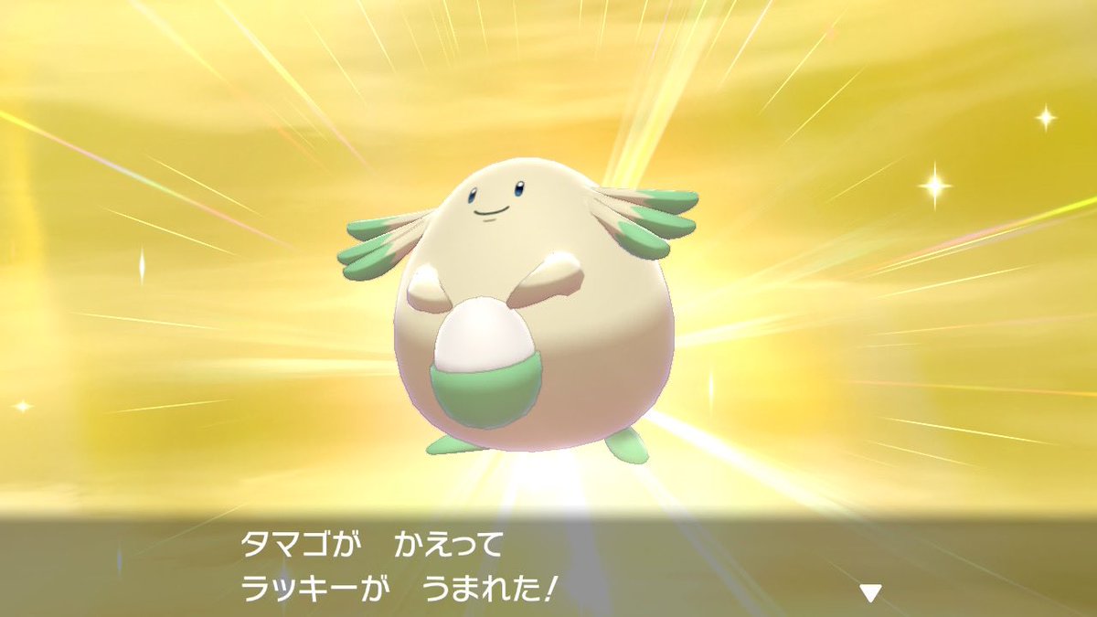 鮒田鯉太郎 ポケモンシールドで色違いラッキーが孵化した 1 000個以上タマゴを孵化させたかな もう出ないのかなとも思った 諦めないでよかった ポケモン剣盾 色違い ラッキー