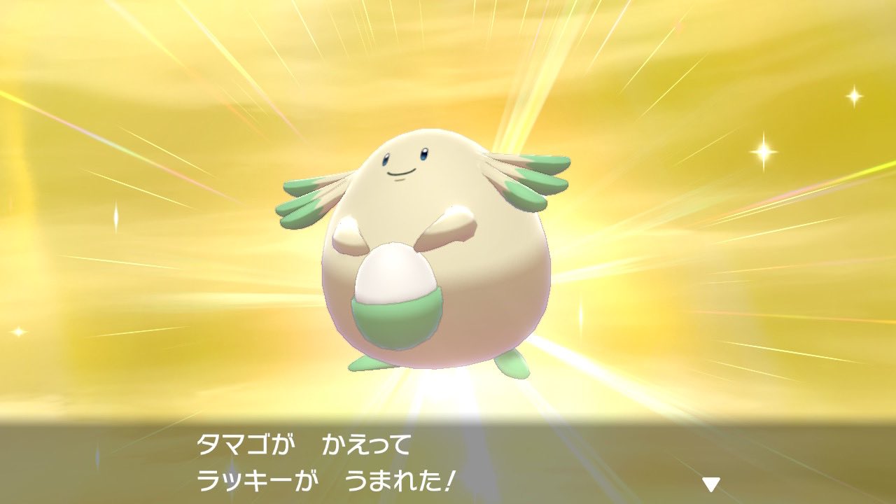 鮒田鯉太郎 ポケモンシールドで色違いラッキーが孵化した 1 000個以上タマゴを孵化させたかな もう出ないのかなとも思った 諦めないでよかった ポケモン剣盾 色違い ラッキー T Co 3sizs8gxek Twitter