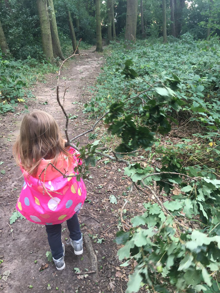 3 yo: I’m going to take this twig home. 
My brain: Anon, methought, the wood began to move! 
#everydayshakespeare