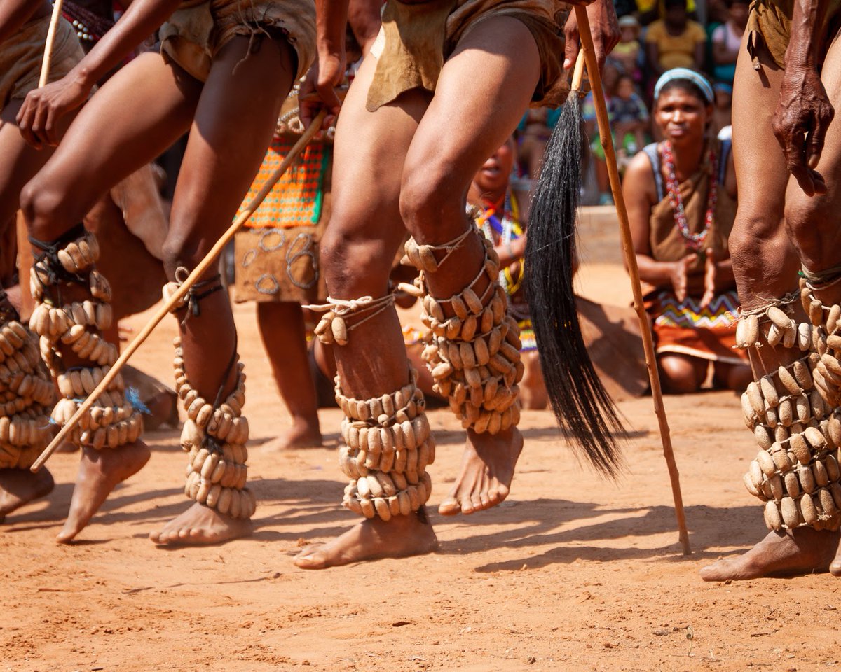 SanDance_Film's tweet photo. SanDance! currently one of the most-watched films at the @EncountersDoc.
By supporting #SanDance! you are not only supporting San culture, our partner the San Kuru Development Trust, but also San livelihoods as well.
Picture credit: Kgara Kevin Rack
#EncountersDoc2020 https://t.co/ViHkF6GtXP