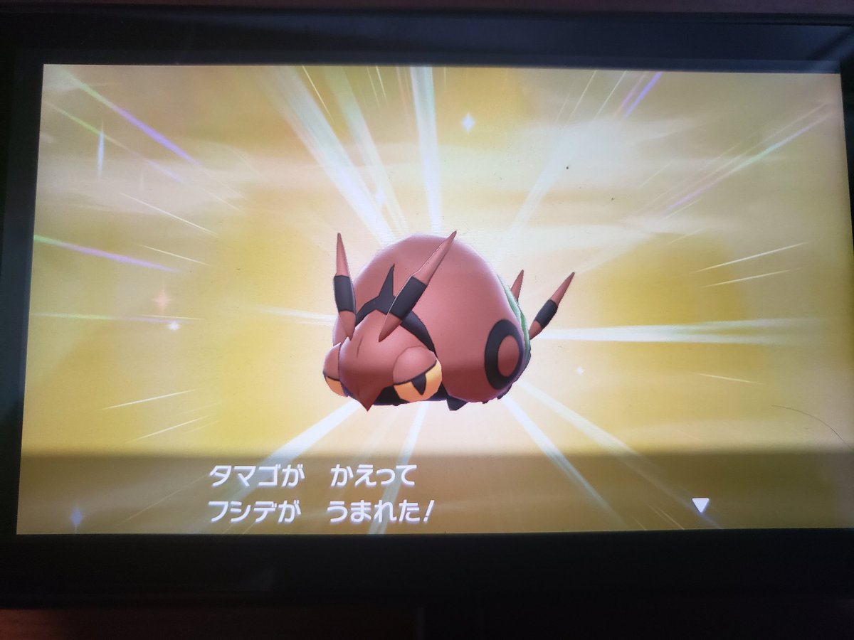 星 流 フシデの色違いが産まれました ちゃんと特性もかそくだった ポケモン剣盾 星 流 フシデの色違いが産まれました ちゃんと特性もかそくだった ポケモン剣盾