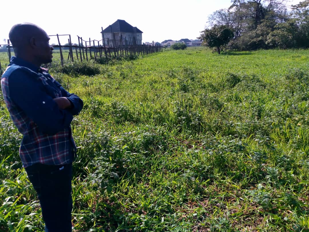 MrAwaji_'s tweet photo. Ten #PlotsOfLand available for #sale at #Airport road by Obiri Ikwerre Flyover, #PortHarcourt.
#Price: N3 million per plot
Contact: Suit LW 12, Deo Gratias Plaza,
26 Psychiatric Road, Rumurosi, Port Harcourt
09066292462.
#VerifiediCON| Interpol | #NengiQueenOfContent | PH https://t.co/LiEMWUqp6z