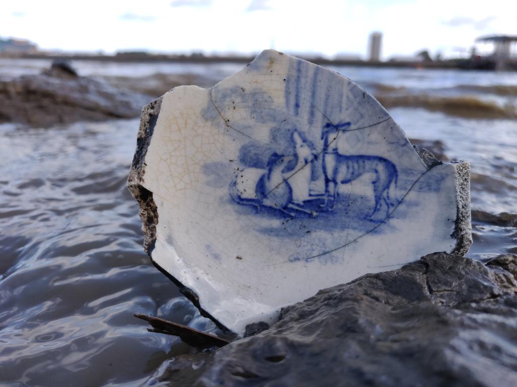 A little gathering of greyhounds in the Thames mud today. It's the first time they've seen the light of day for a while #mudlarking #mudlark #dogsoftwitter
