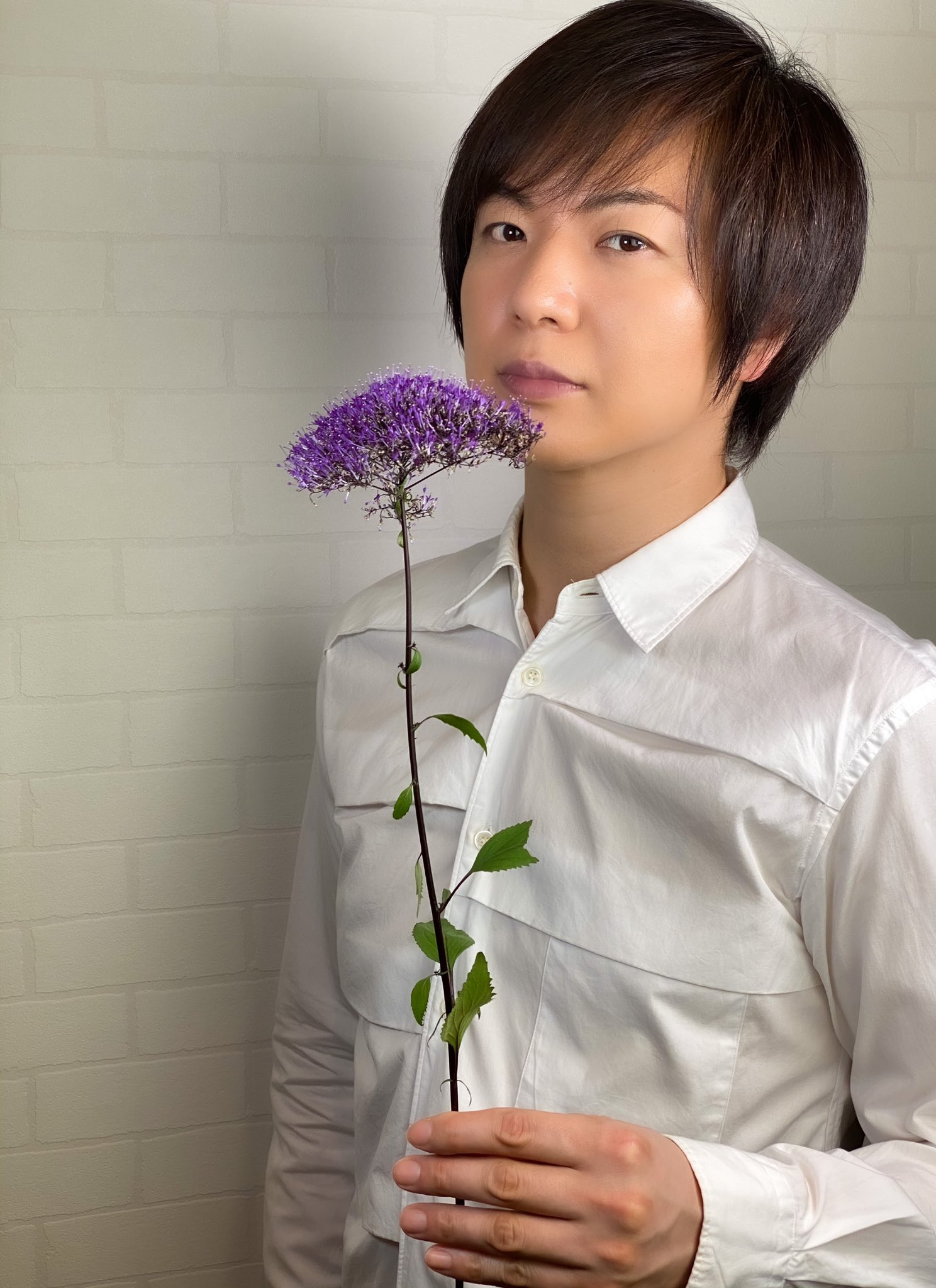 Twitter 上的 竹島宏スタッフ 公式 夕霧草 花言葉は 優しい愛情 今日8月22日の誕生花 夕霧のようにはかなげで 美しい花 今日も1日お疲れ様でした ひろネット 花 Flower 花言葉 花のある暮らし 花を贈ろう 花の癒し 花のパワー 絆 バースデー Twitter 上的 竹島宏スタッフ 公式 夕霧草 花言葉は 優しい愛情 今日8月22日の誕生花 夕霧のようにはかなげで 美しい花 今日も1日お疲れ様でした ひろネット 花 Flower 花言葉 花のある暮らし 花を贈ろう 花の癒し 花のパワー 絆 バースデー