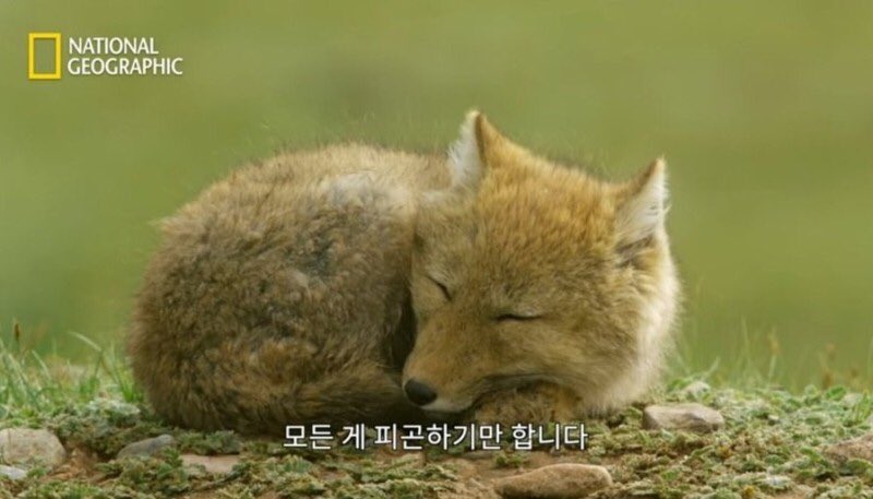 hmh_0809_1995's tweet photo. 생존... 신고... ^_^...... https://t.co/x5iIe9A5Xn