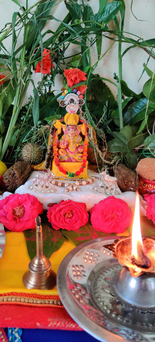 SRK FAN CLUB - SRKFC || KKR || SHAH RUKH KHAN FANS tweet media