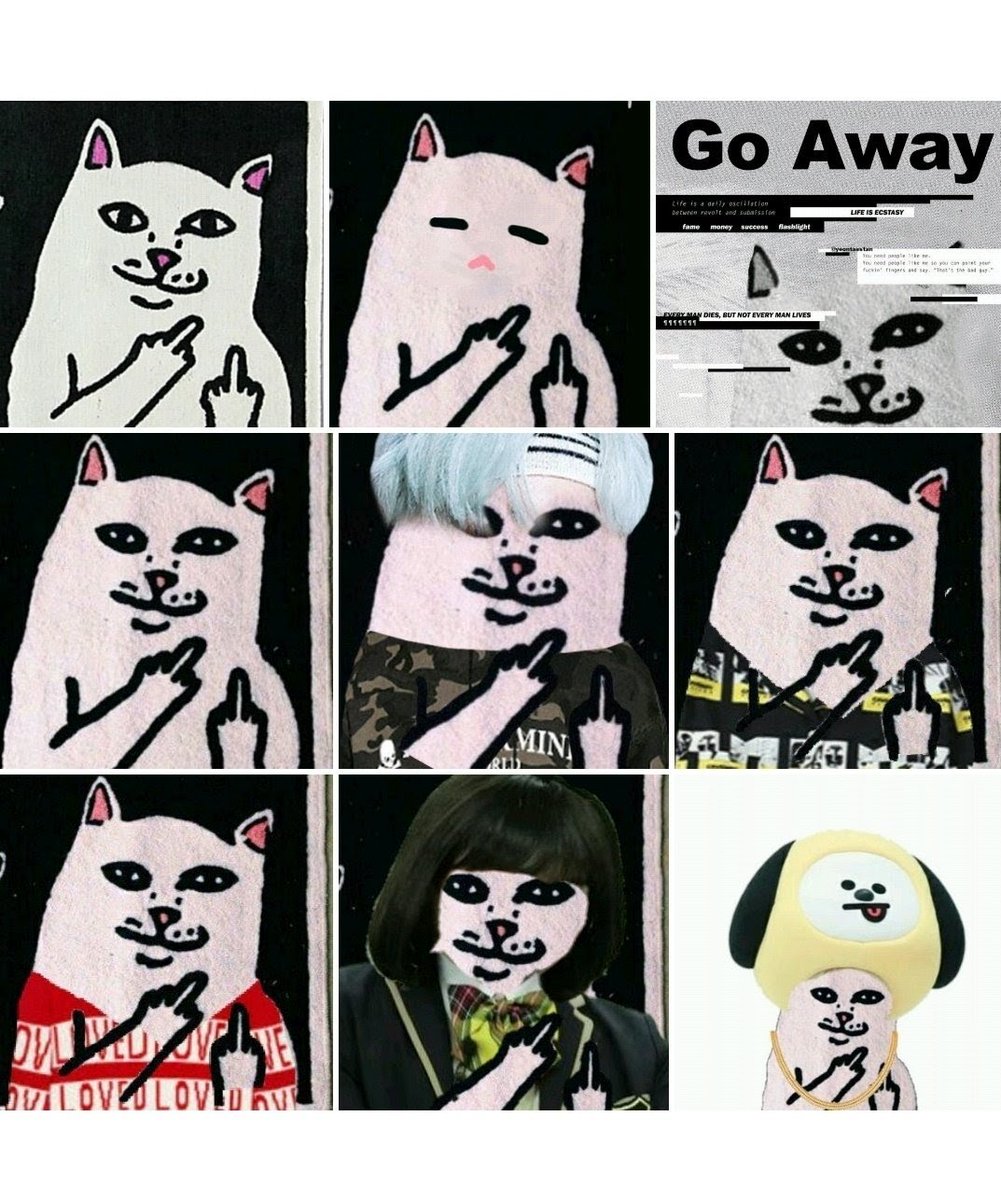 yoongi's "go away" cat mat everyone edited it or put in as their layout (mar 2018)