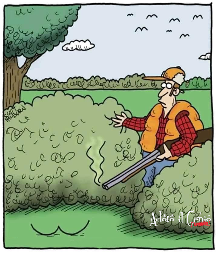 AdoroilGenio's tweet image. ADORO IL GENIO - CACCIA

L&apos;arte venatoria non è fra le nostre #passioni ma finchè le #prede sono queste...

#adoroilgenio #22agosto #caccia #artevenatoria #preda #doppiette #cacciatore #cacciatori #cani #cacciagione #volatili #uccelli #disegni #cartoon #comics #sorpresa