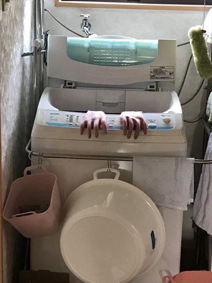or_or_o's tweet photo. ガチでビビったwww
声出して後ずさったわw
どう見ても人の手にしか見えない https://t.co/fO6HrEg9fk