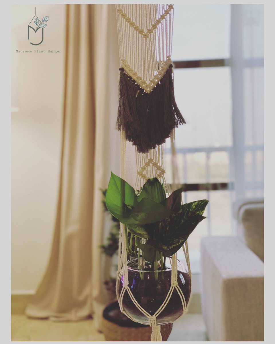 مكرمية مع حوض زجاجي ونبتة البوتس