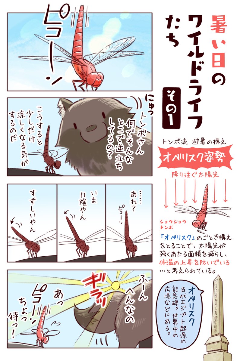 わいるどらいふっ!第183種
暑い日…生き物たちはどうやって過ごしているのか? 