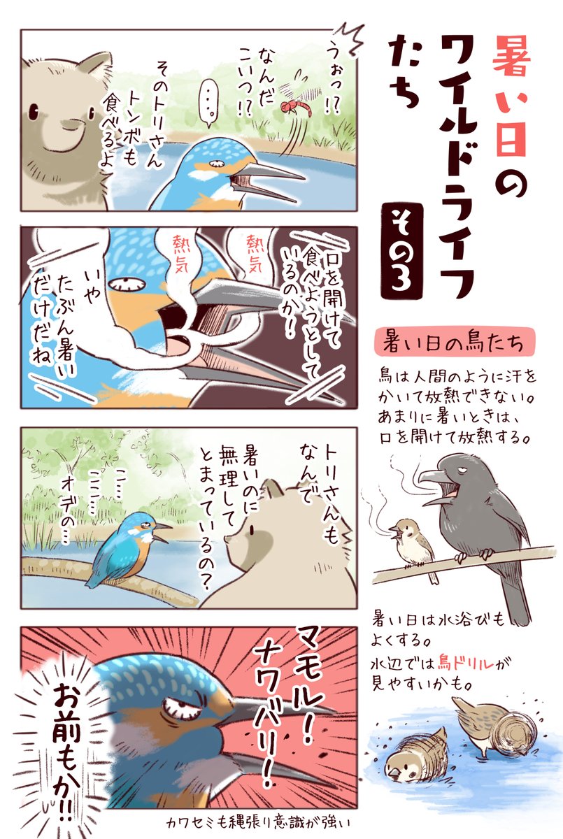 わいるどらいふっ!第183種
暑い日…生き物たちはどうやって過ごしているのか? 