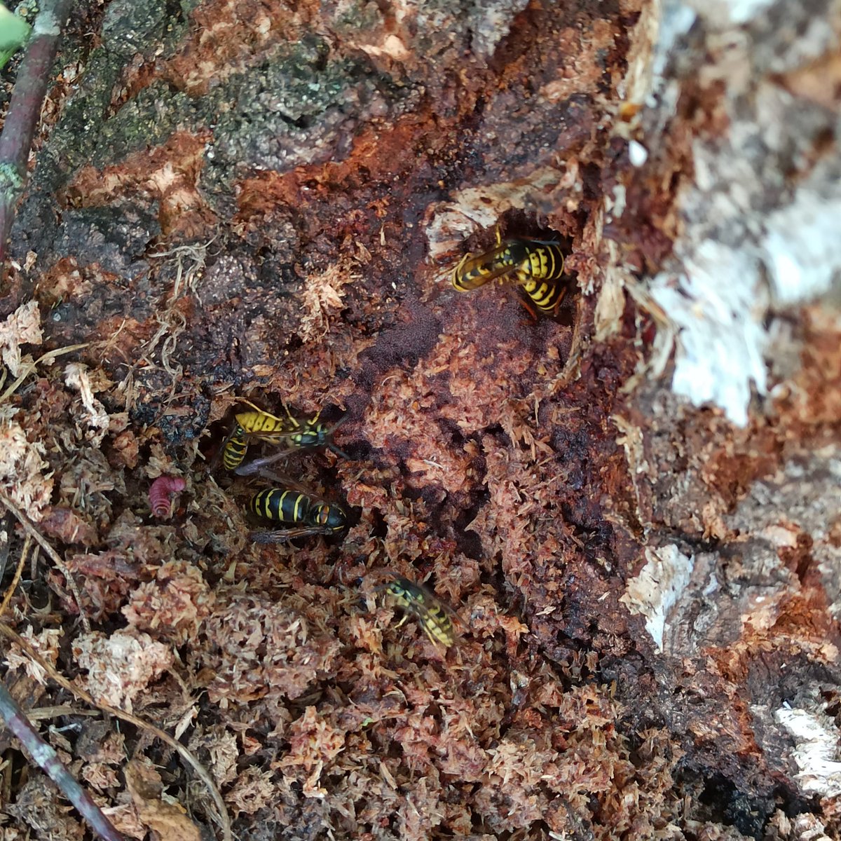 Donna and Me tweet media