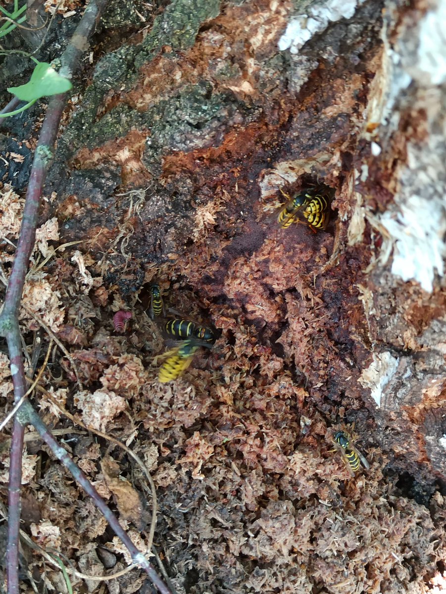 Donna and Me tweet media