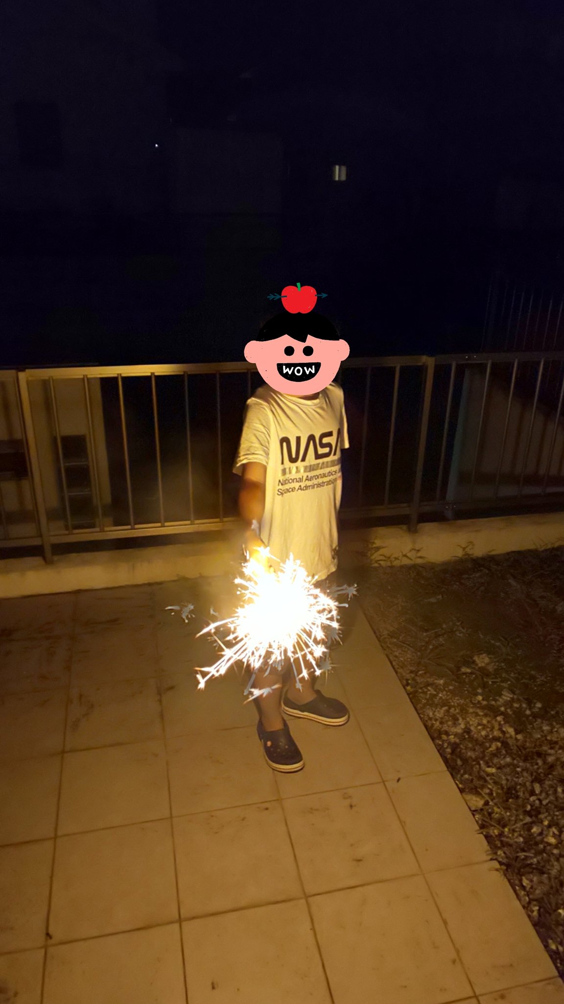 自宅で花火 Twitter Search Twitter