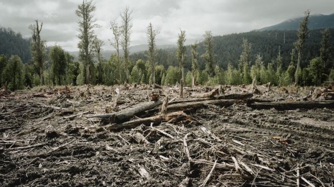 Today is #EarthOvershootDay - marking the date when humanity’s demand for ecological 🌿 resources in a given year exceeds what 🌏 can regenerate in that year.
Nevertheless, everyone can do their bit &amp; help to #MoveTheDate 👉Join Climate Action Project.
climate-action.info