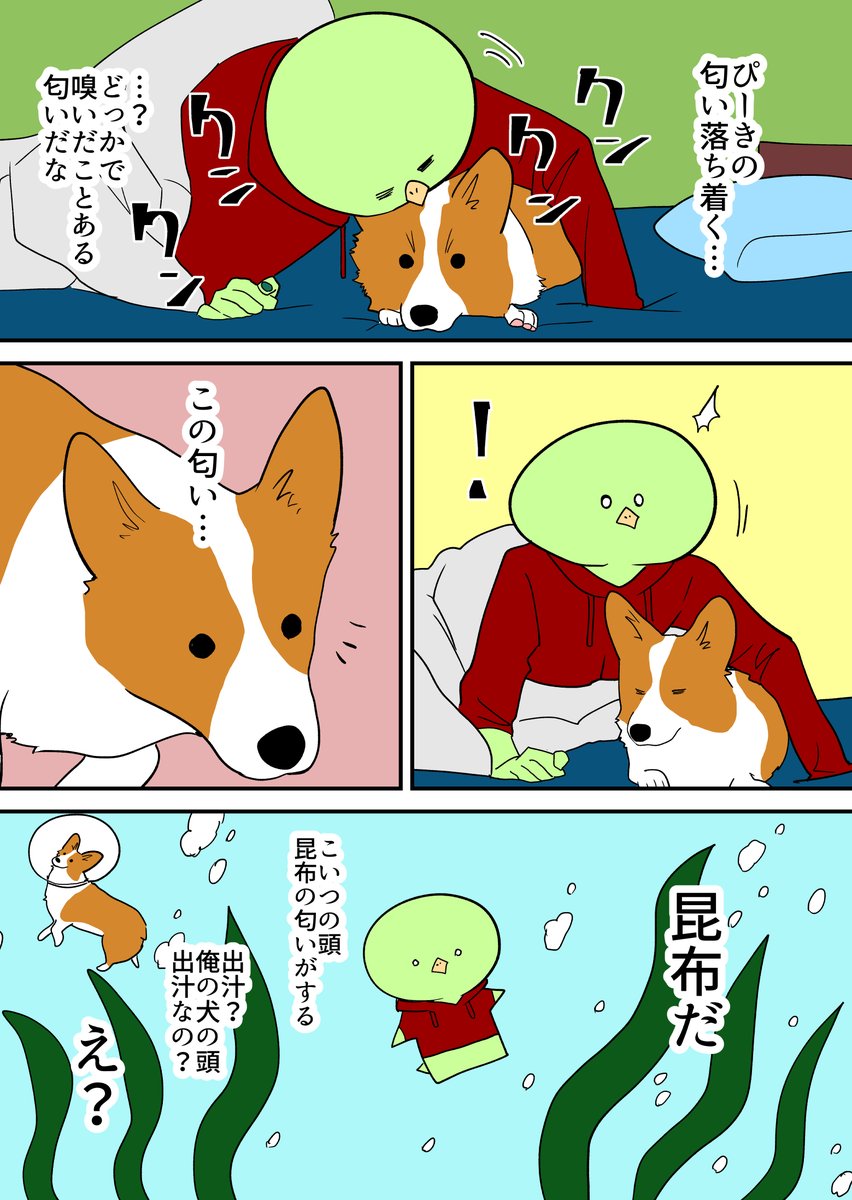 コーギーの頭の匂い嗅ぐ 