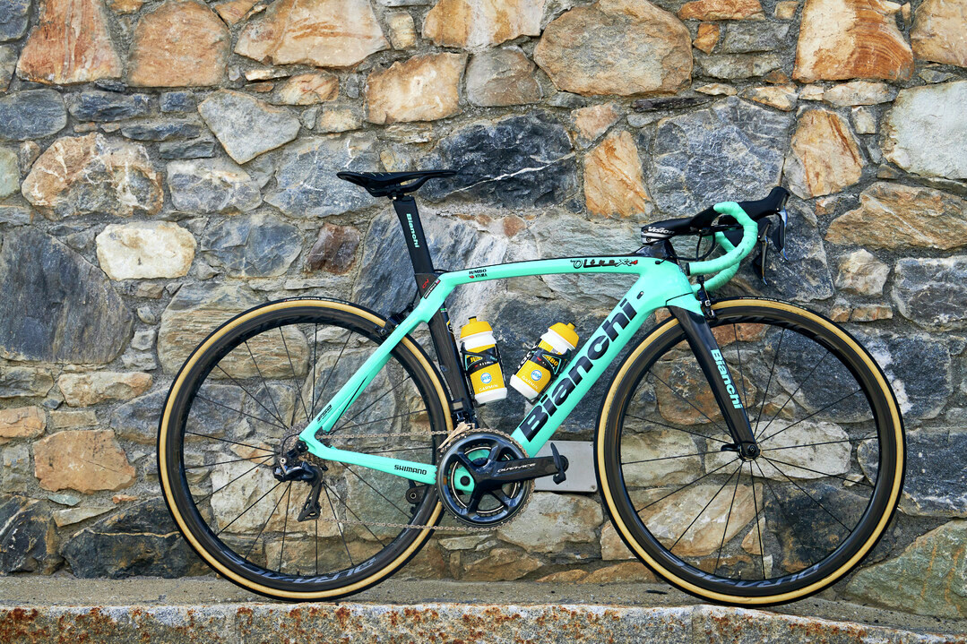 bianchi dealer near me