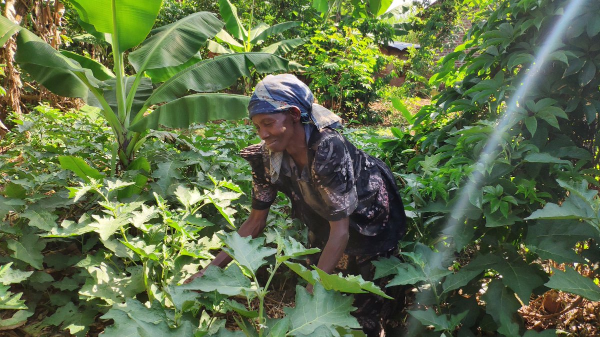 SchoolsTrees1's tweet photo. Real empowerment of women should move from online rhetoric to more visibly aggressive economic empowerment schemes for women especially those at the grassroots. This is the essence of Climate Justice. #Schoolstreeproject #climatesmartagriculture #greenspaces Be the change https://t.co/mnXP3cAhM8