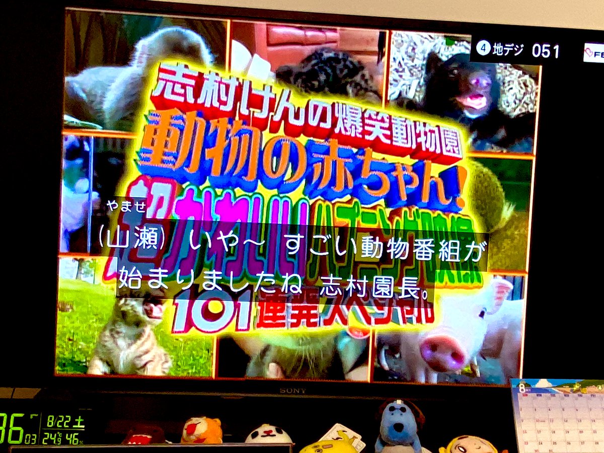 志村 動物園 視聴 率