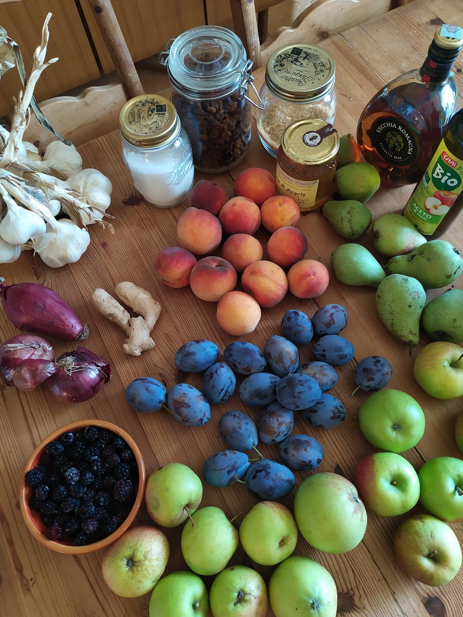 PiemonteDreams's tweet photo. An afternoon of preserving all these windfallen and foraged fruit and veg from the garden and local land 😋 #preserves #windfall #fruitchutney #Italy #Langhe https://t.co/w0tgRnvUeb