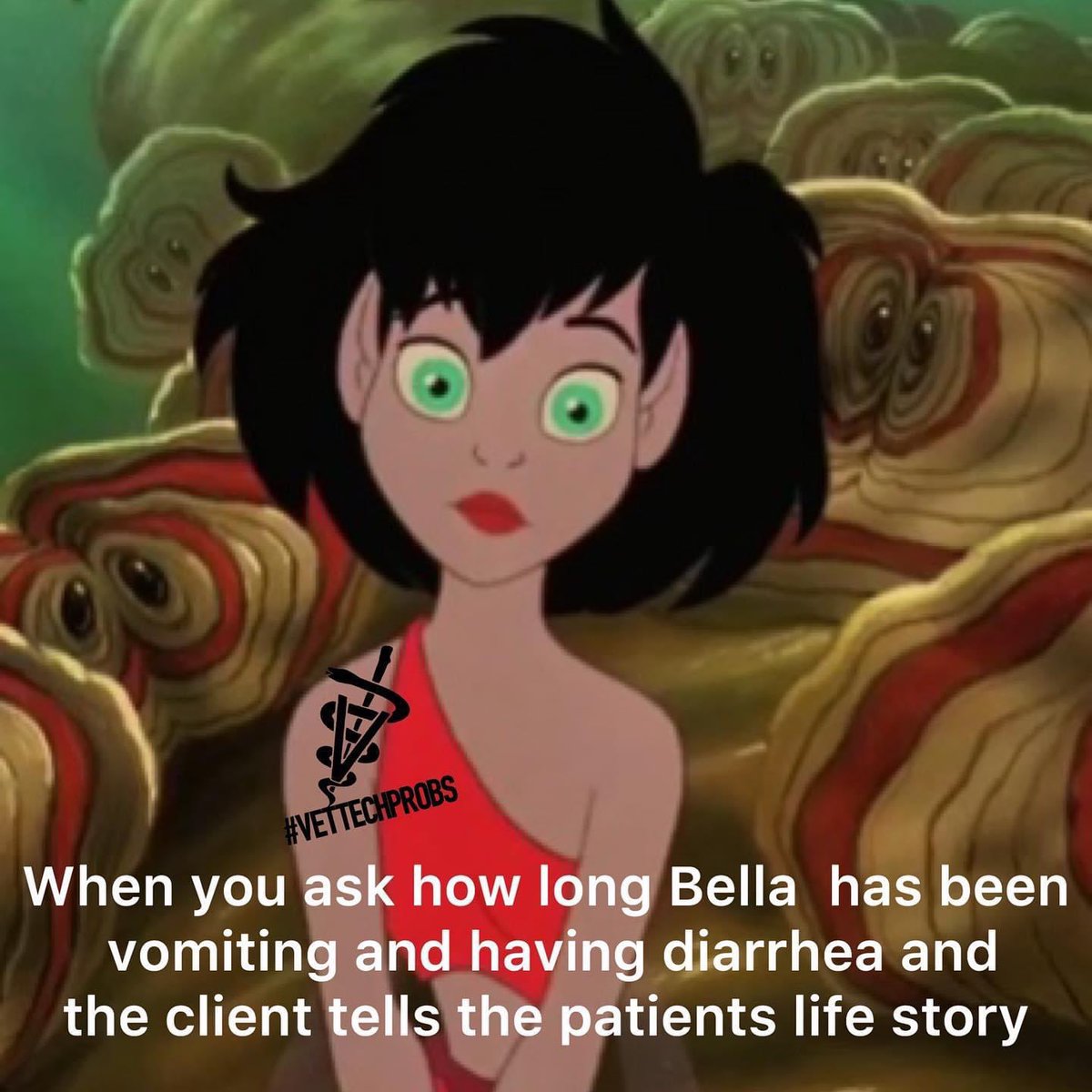vet_raw's tweet photo. #vettechprobs #vetmed https://t.co/KQtOCir77o