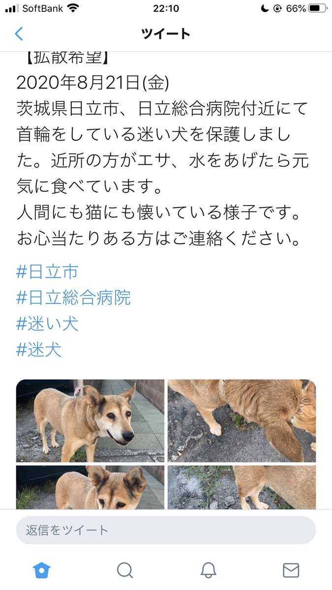 ゆん Tzgmj9znk80cuex Twitter ゆん Tzgmj9znk80cuex Twitter