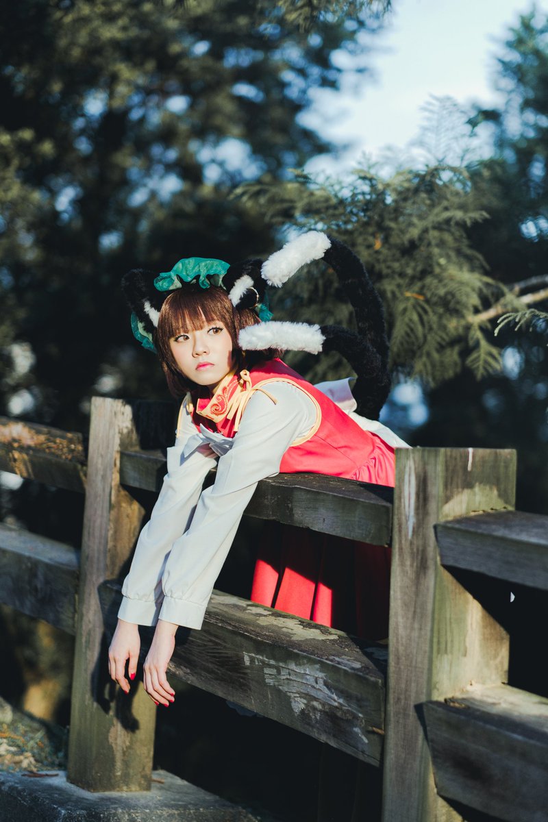 太陽花 猫いないのー 東方project L 橙cn Noizu Chen 攝l Jh Photography 東方project チェン 東方妖々夢 Touhouproject Chen Perfectcherryblossom Cosplay T Co Pkzmutnrqd