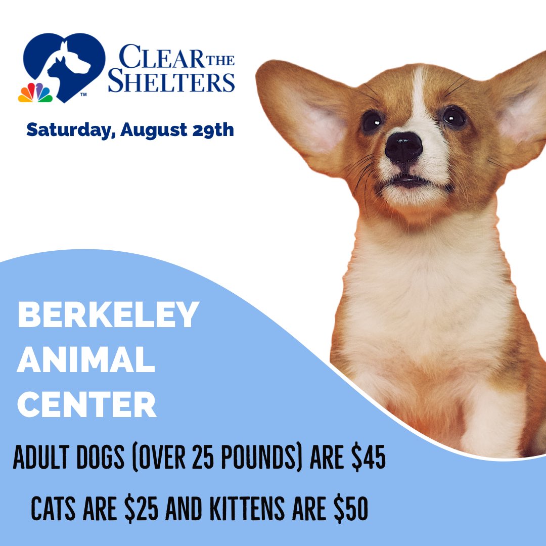 NEXT WEEK! News 2 will partner with local animal shelters to find a