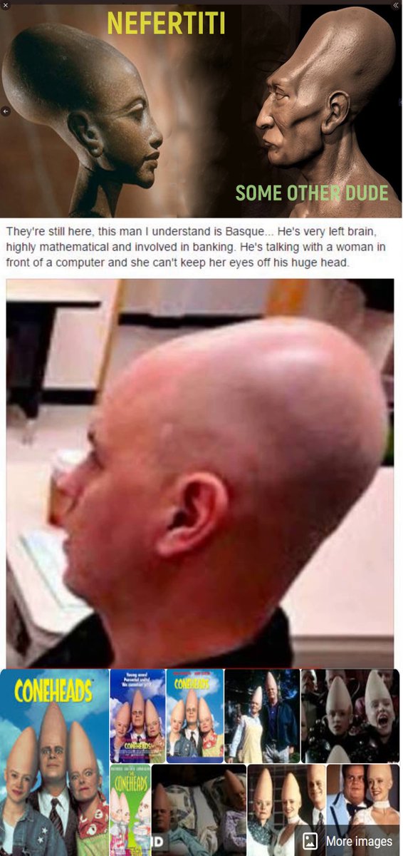 Bruce Adams tweet media