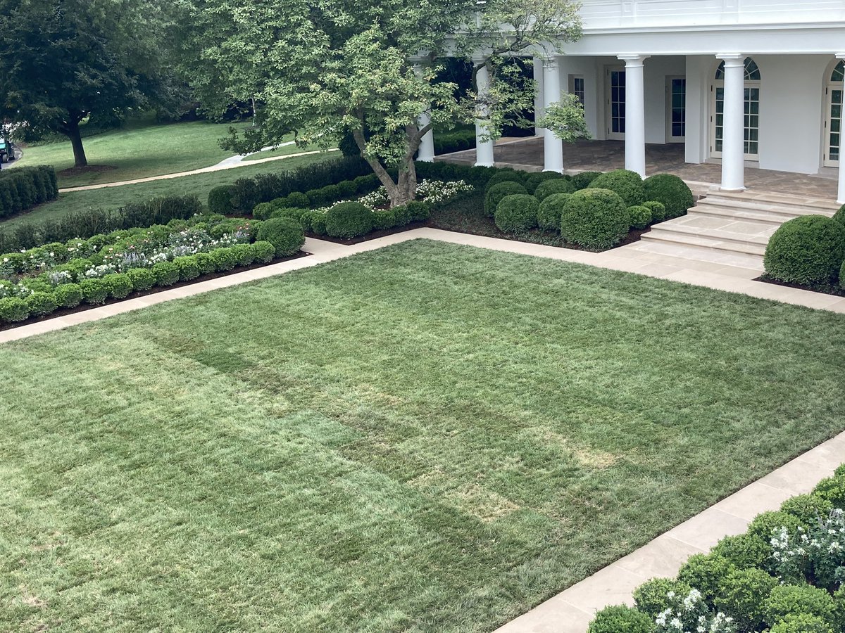 The White House Rose Garden by Trump