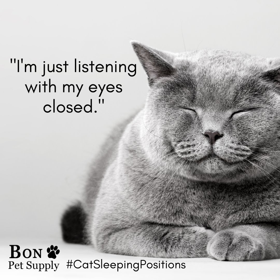 It’s the same trick humans try to play, but our cats know how to do it better! 🐱 💤

#CatSleepingPositions
#Caturday
#BonPetSupply