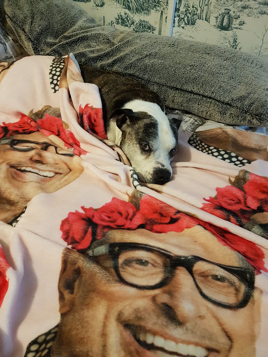 Mollie 🍄 tweet media