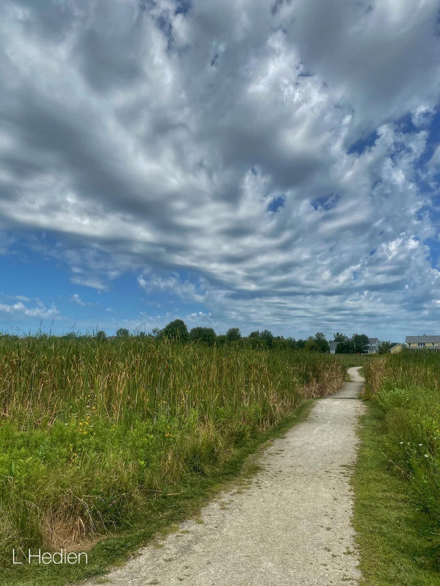lhedien's tweet photo. #Travel down the unknown #path. It’s a #beautiful weekend! #cloudscape #leadinglines #iphonephotography #grass #summertime #landscapephotography #naturephotograpy #prairiecrossing #grayslake https://t.co/kaIWdigAMe