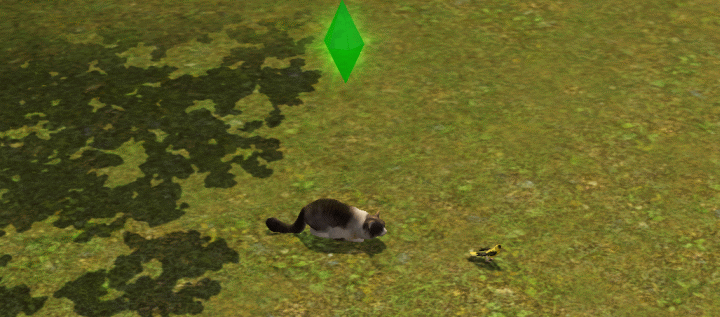Cats also have the hunting skill, only this time they use it to collect small animals around the world. They can even EAT the small prey. Cats are great for sims who have the lifetime wish to collect all animal types.