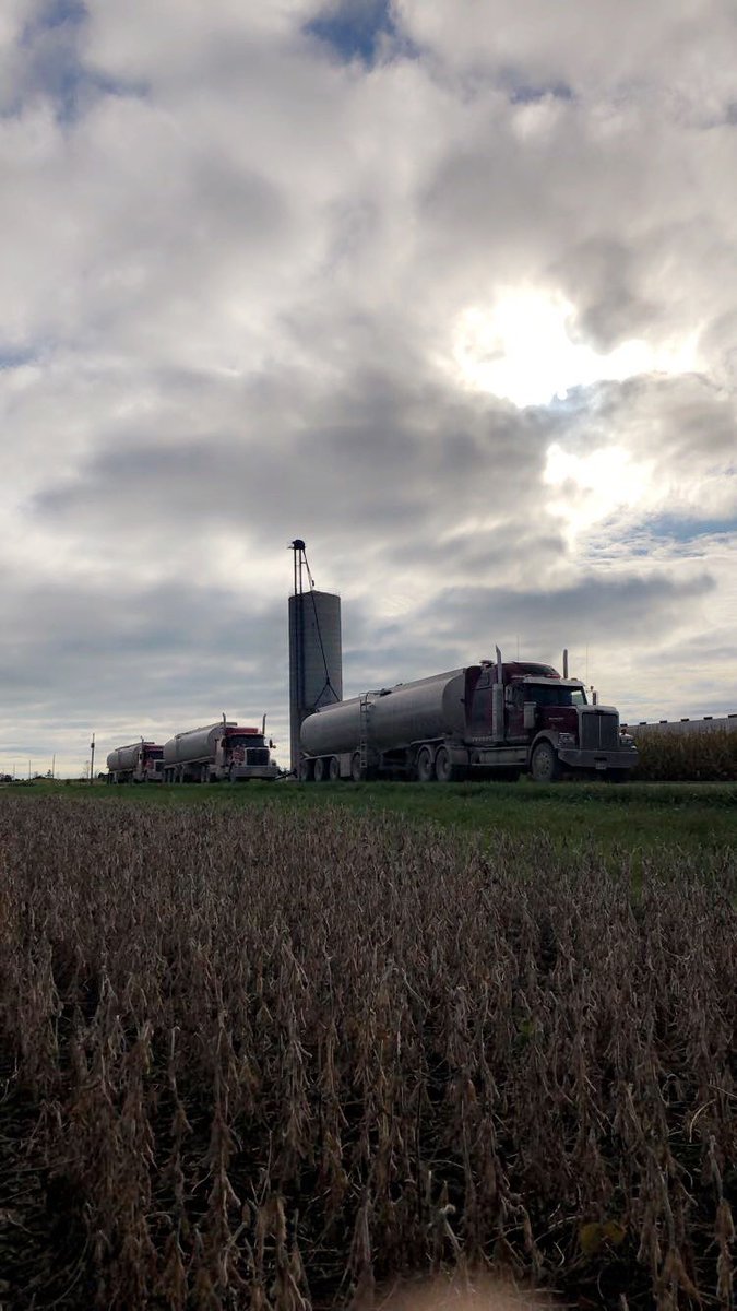 Feltz Farms Ltd, a custom farm operation, has an opening for an AZ Driver who also has experience operating various farm machinery.  Mechanically inclined is an asset.  Full time.Longer hours in busy seasons.  Competitive wages.  Send enquiries,resume to feltzfarmsltd@hotmail.com
