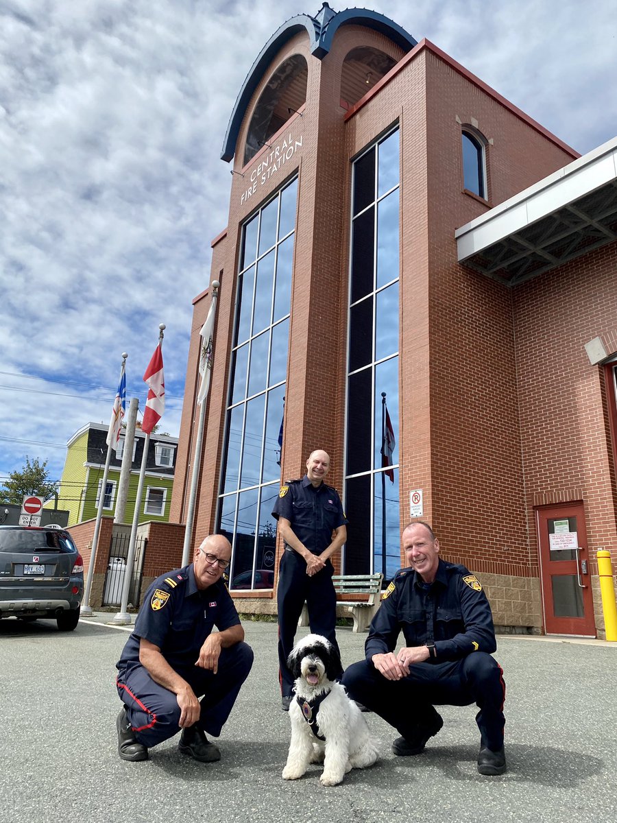PSD_Stella's tweet image. Met the guys 👨🏻‍🚒 at @CityofStJohns Central Fire Station today too. I helped them clean up the lunch room floor!🚒 #firstresponder #mentalhealth #sjrfd 
🐾Stella