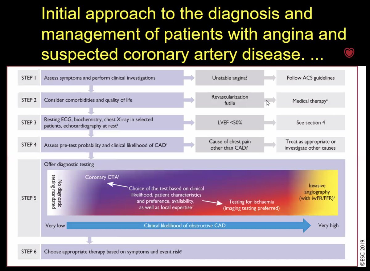 CVEFOnline's tweet photo. Thank you Dr. Tayo Addo (of @UTSWCardfellow fame). To Cath or Not to Cath?  Thankfully, after this presentation, you can answer this question!

#NCVS2020 https://t.co/1URYF5g1Tz