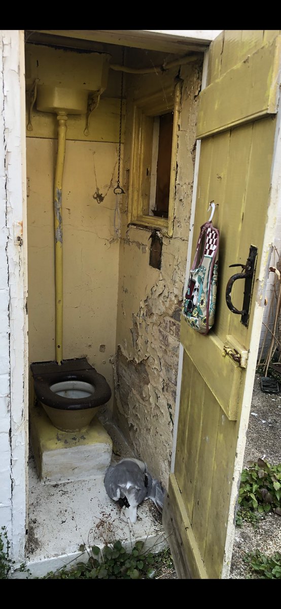 Possibly the worst toilet in Brighton?