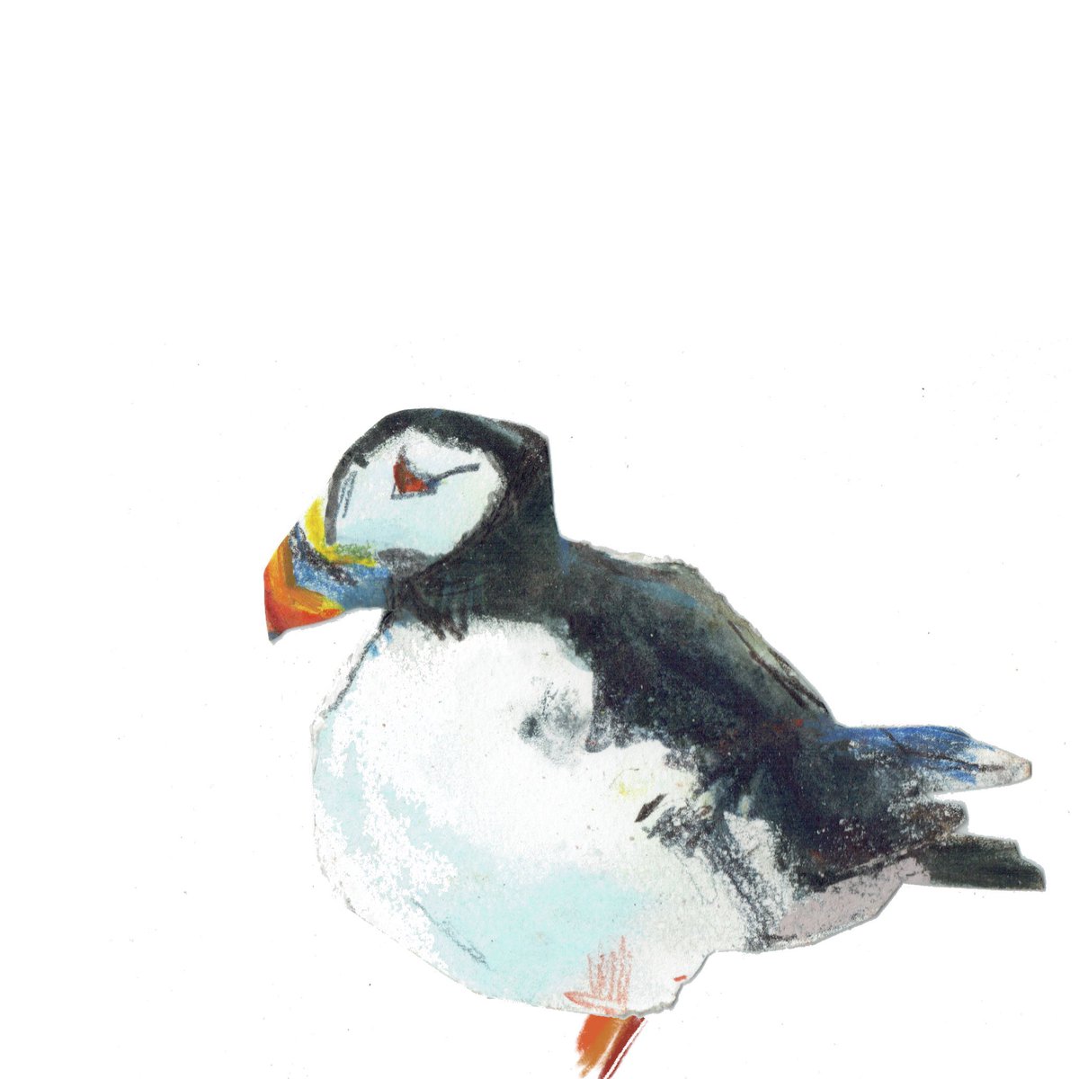 HazelVellacott's tweet photo. The puffin’s latin name Fratercula arctica means “little friar of the north”. 
Maybe because the puffin’s sturdy little black and white body looks a bit like a scurrying monk, busy with his chores? And if you think that couldn’t be any cuter a young puffin is called a PUFFLING! https://t.co/U3gD8Plgzy