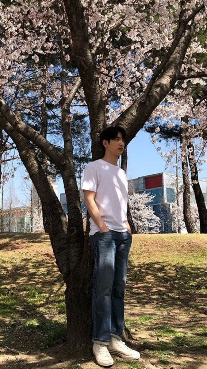 thread of jinyoung with trees (?)