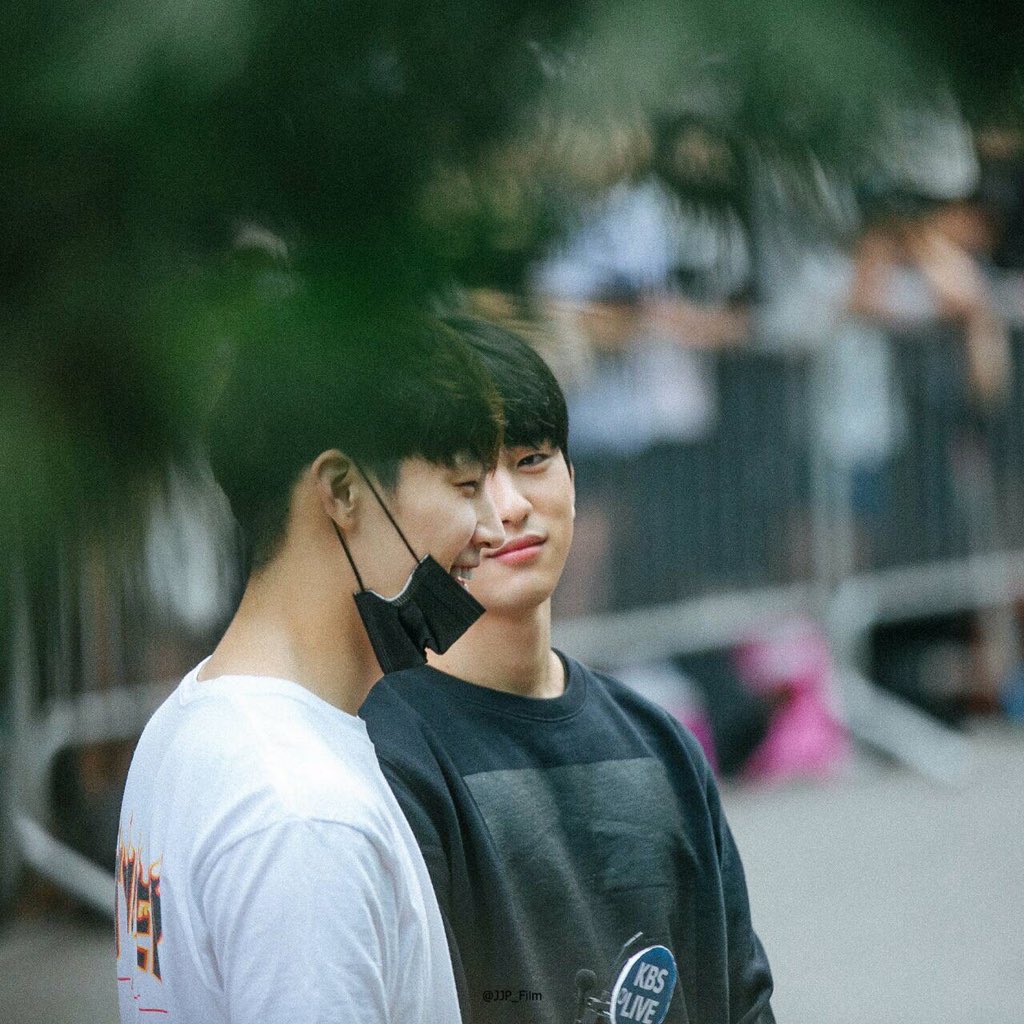 yea there’s a tree there